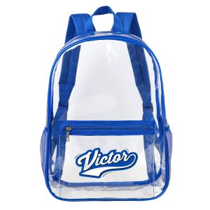 Heavy Duty Security Clear PVC School Backpack