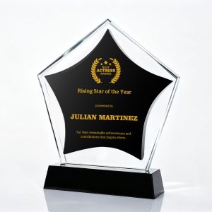 Crystal Star Recognition Award